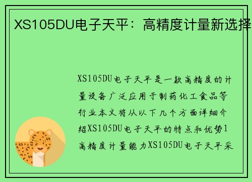 XS105DU电子天平：高精度计量新选择